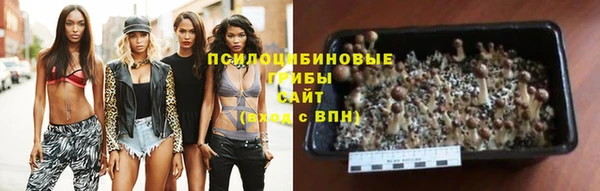 марихуана Бородино