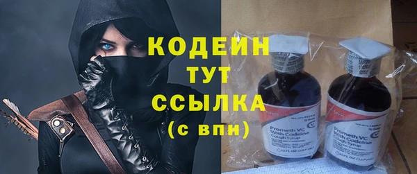 дживик Верхний Тагил