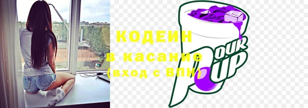дживик Верхний Тагил